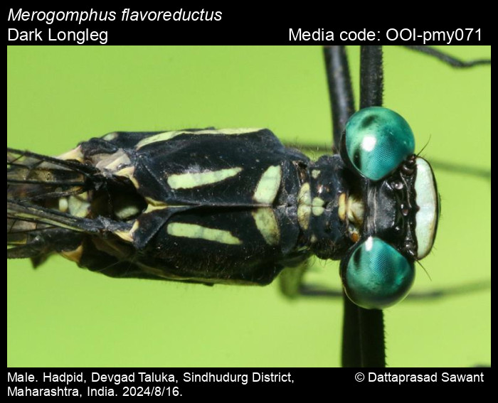 Kirish zalida kokrak bezi talaba sikildi Forum: Keling, birga onanizm qilaylik